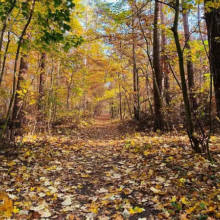 Appartement Neu Auszeit In Moderner In Seen-naehe