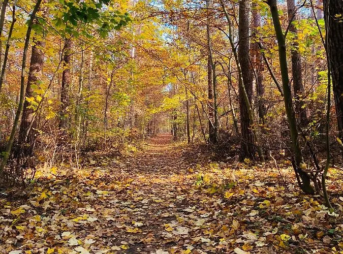 Апартаменты Neu Auszeit In Moderner In Seen-naehe